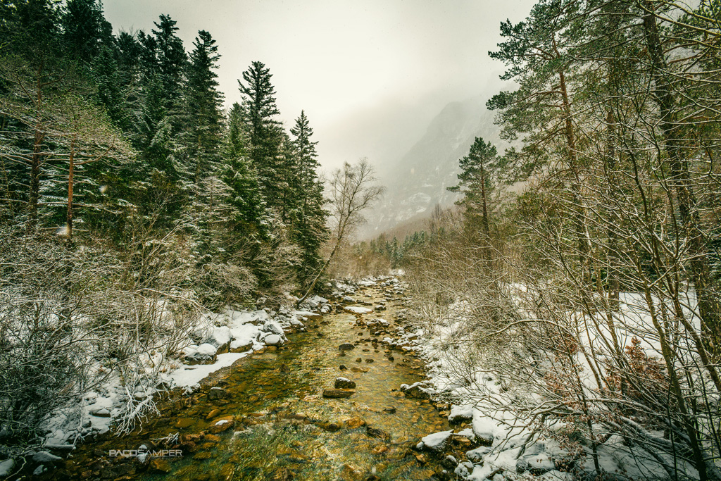 Integral Estudios-Fotografía