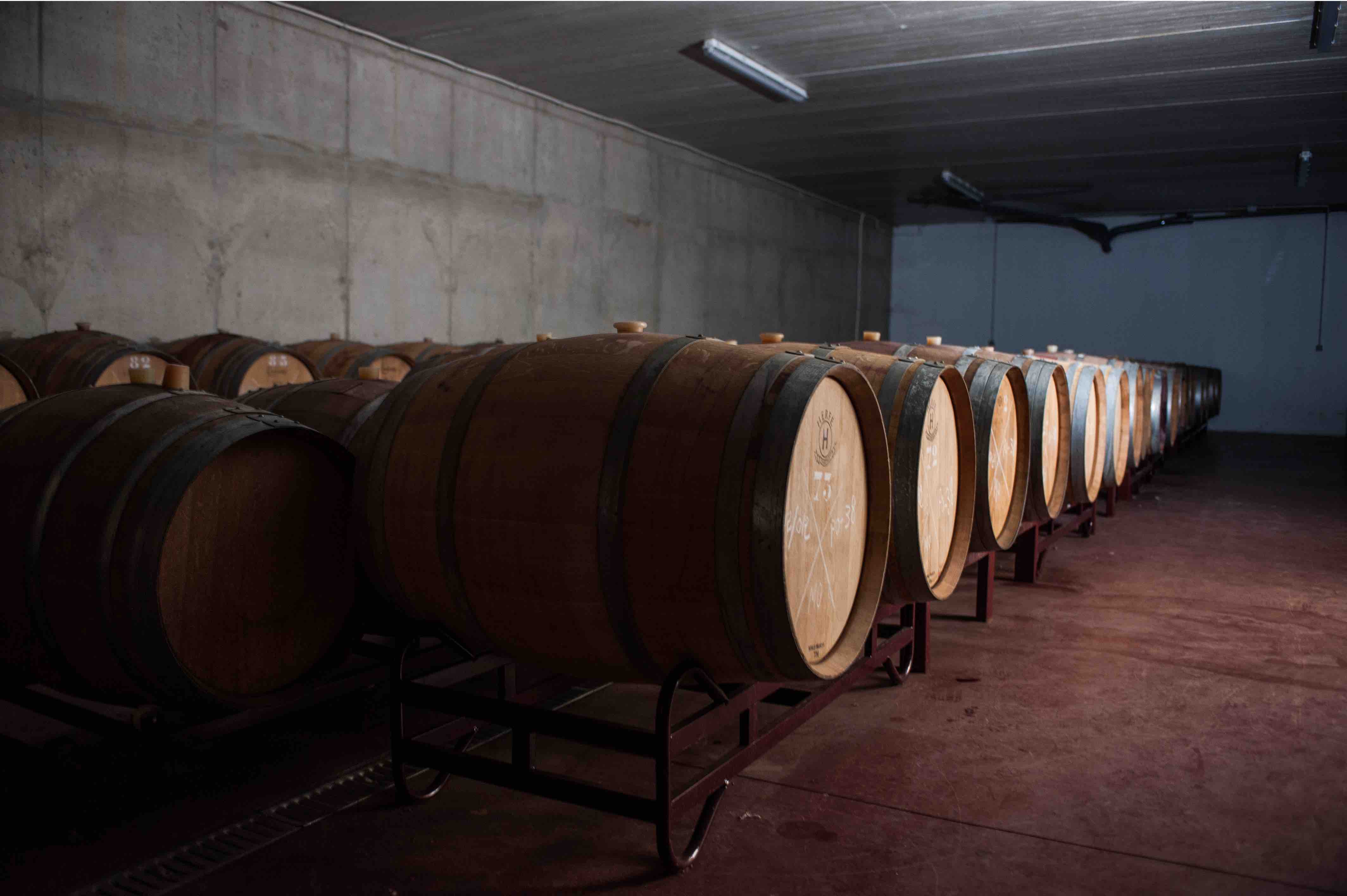 Bodega%20Tobarra%20%2847%29