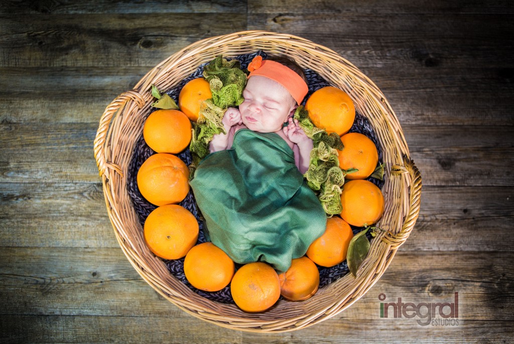 Integral estudios-Sira2-1024x685